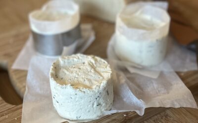 Fresh Cheese Making Class